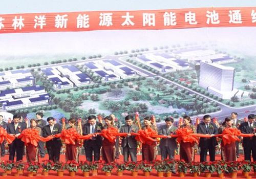 江蘇林洋新能源有限公司成立，10月，第一條太陽能電池線投產(chǎn)運行