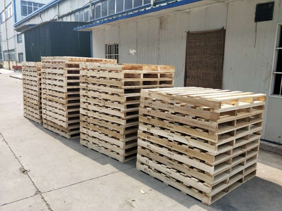 ���ݳ���Ѭ���бP